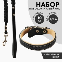 Комплект ошейник (34-45х2 см) и поводок (120х0.8 см) с косой, черный с бежевым Пушистое счастье