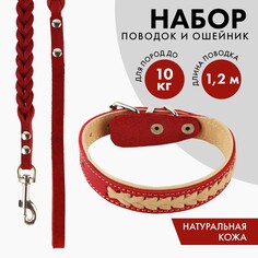 Комплект ошейник (34-45х2 см) и поводок (120х0.8 см) с косой, красный с бежевым Пушистое счастье