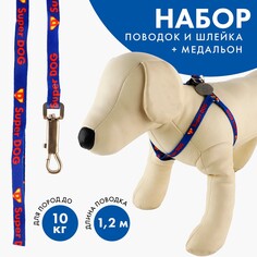Комплект super dog, шлейка 26-39 см, поводок 120х1 см, медальон Пушистое счастье