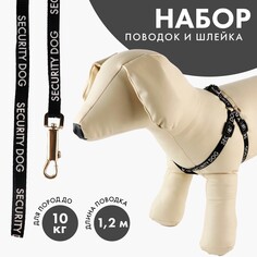 Комплект security dog, шлейка 26-39 см, поводок 120х1 см Пушистое счастье