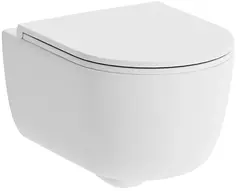 Унитаз подвесной Damixa Sirius DX86C1700SC безободковый, с сиденьем микролифт, белый