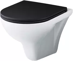 Унитаз подвесной Am.Pm Gem C901700SCmb безободковый, с сиденьем микролифт, белый Am.Pm.