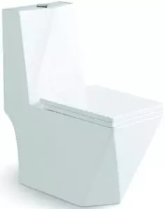 Унитаз-компакт безободковый с сиденьем микролифт SantiLine SL-5013