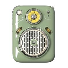 Колонка Divoom Beetles-FM II Green