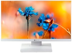Моноблок 23.8 Тесла P24WP i5-10400/16GB/256GB SSD/UHD Graphics 630/1920Ч1080/noOS/white Tesla