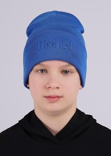 Шапка Clever