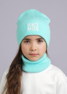 Шапка Clever