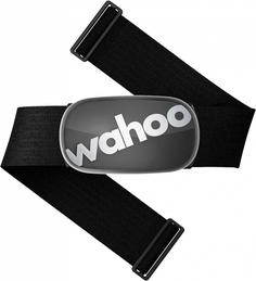 Wahoo Fitness Монитор сердечного ритма TICKR 2, серый