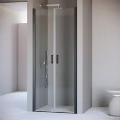 Душевая дверь 60 см RGW PA-104B Passage 060810406-14 прозрачное