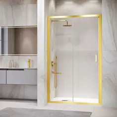 Душевая дверь 100 см RGW PA-14Gb Passage 41081410-16 прозрачное