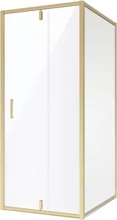 Душевой уголок 90x110 см Niagara NG-43-9AG-A110G прозрачное
