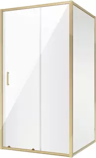 Душевой уголок 100x80 см Niagara NG-42-10AG-A80G прозрачное