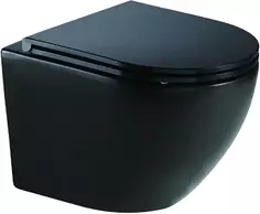 Подвесной безободковый унитаз с сиденьем микролифт WeltWasser Merzbach 041 MT-BL