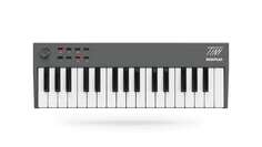 MIDI клавиатуры / MIDI контроллеры Midiplus TINY