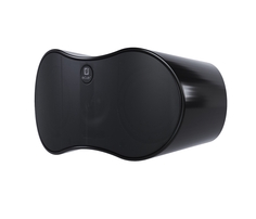 Динамики настенные Ecler NIMBO-24 (Black)