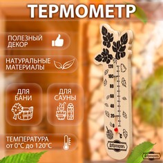 Термометр для бани Добропаровъ