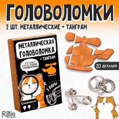 Металлическая головоломка Puzzle