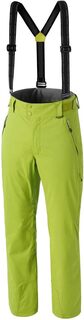 Штаны горнолыжные Atomic 17-18 M Alps Pant Wild Lime