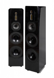 Напольная акустика Legacy Audio Signature SE black oak