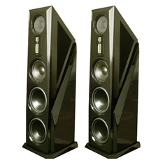 Напольная акустика Legacy Audio Aeris black oak