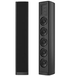 Напольная акустика Piega Coax 611 black