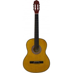 BC3905 OR Belucci