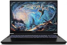 Ноутбук Colorful EVOL X16 PRO A10003400457 i7-13700H/16GB/512GB SSD/RTX4060 8GB/16"/IPS/QHD/240Hz/noOS/Black