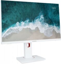 Моноблок 23.8 Nerpa SAIMAA I242-105F i5-10500/8GB/256GB SSD/UHD Graphics 630/1920*1080/IPS/WiFi/BT/cam/noOS/white