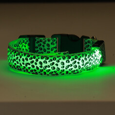 Ошейник с подсветкой леопард 3 режима свечения, размер l, ош 48-60 х 2,5 см зеленый Пижон