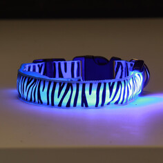 Ошейник с подсветкой тигр 3 режима свечения, размер l, ош 48-60 х 2,5 см синий Пижон
