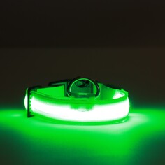 Ошейник с подсветкой, зарядка от usb, размер s, ош 34-41 см, 3 режима, зеленый Пижон