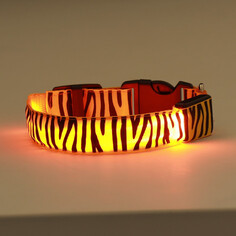Ошейник с подсветкой тигр 3 режима свечения размер s, ош 22-40 х 2,5 см оранжевый Пижон