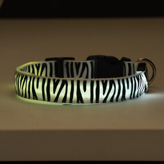 Ошейник с подсветкой зебра 3 режима свечения размер xl, ош 60-70 х 2,5 см белый Пижон