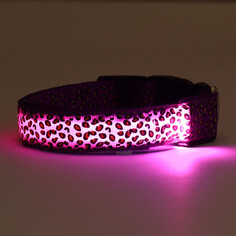 Ошейник с подсветкой леопард 3 режима свечения, размер l, ош 48-60 х 2,5 см фиолетовый Пижон