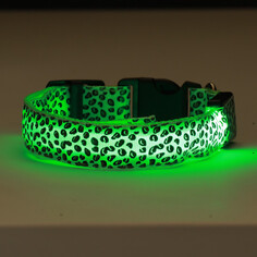 Ошейник с подсветкой леопард 3 режима свечения размер xl, ош 60-70 х 2,5 см зеленый Пижон