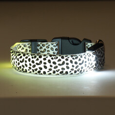 Ошейник с подсветкой леопард 3 режима свечения, размер s, ош 22-40 х 2,5 см белый Пижон