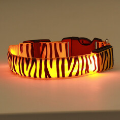 Ошейник с подсветкой тигр 3 режима свечения размер м, ош 32-50 х 2,5 см оранжевый Пижон