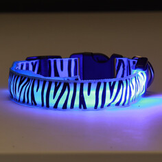 Ошейник с подсветкой тигр 3 режима свечения размер м, ош 32-50 х 2,5 см синий Пижон