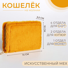 Кошелек детский на молнии, цвет желтый NO Brand