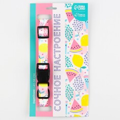 Ошейник Пушистое счастье