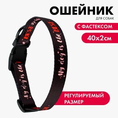 Ошейник my dog is the best, застежка - фастекс, 2 см 25-40 см Пушистое счастье