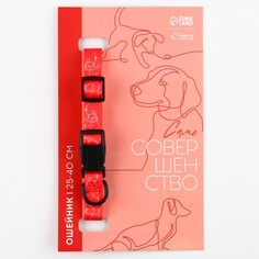 Ошейник one line, застежка - фастекс, 2 см 25-40 см Пушистое счастье