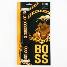 Ошейник boss, застежка - фастекс, 2.5 см, 40-55 см Пушистое счастье