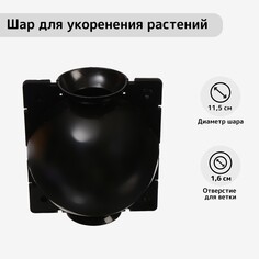 Шар для укоренения растений, d = 11,5 см, под ветку 1,6 см, черный, greengo