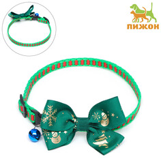 Ошейник Пижон