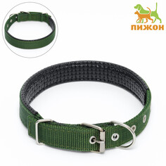 Ошейник Пижон