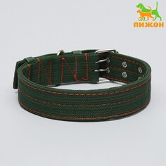 Ошейник четырехслойный с вертлюгом, 80 х 4,9 см, ош 64-74 см, полиэстер, зеленый Пижон