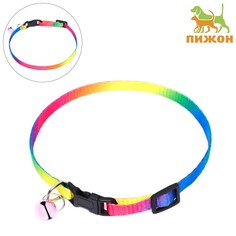 Ошейник Пижон