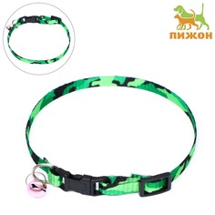 Ошейник Пижон