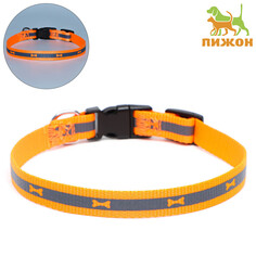 Ошейник Пижон